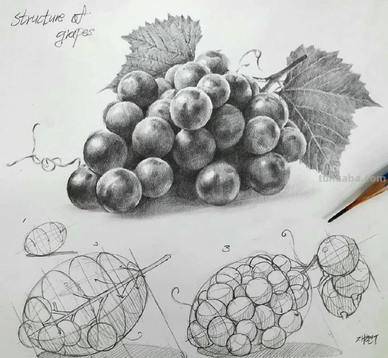 最近很受欢迎的画！韩国画家的结构素描作品高清精选