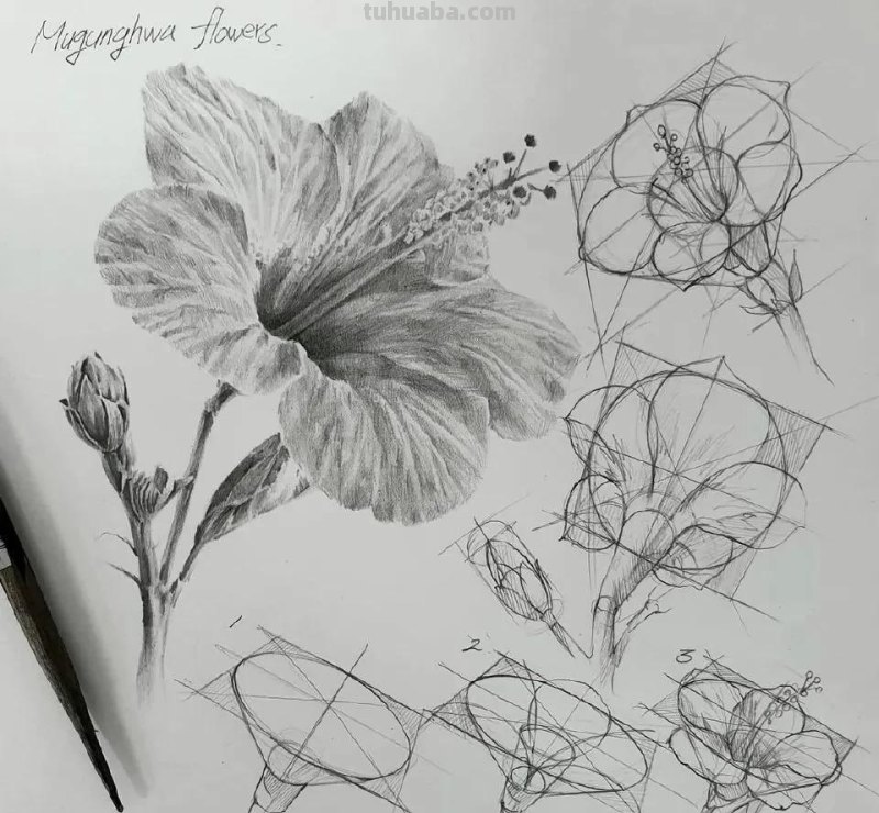 最近很受欢迎的画！韩国画家的结构素描作品高清精选