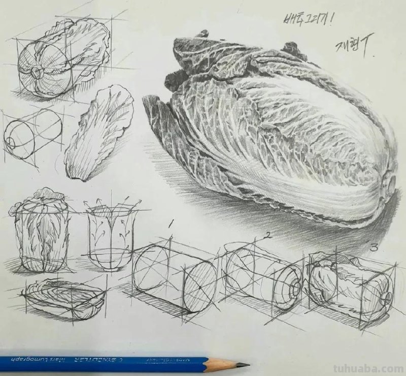 最近很受欢迎的画！韩国画家的结构素描作品高清精选