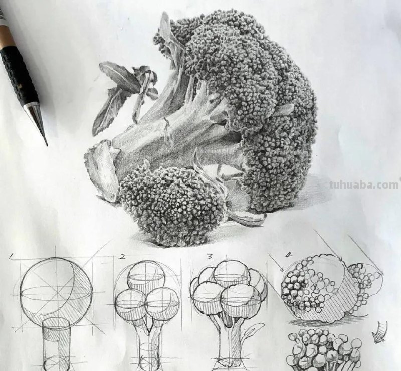 最近很受欢迎的画！韩国画家的结构素描作品高清精选
