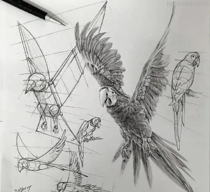 最近很受欢迎的画！韩国画家的结构素描作品高清精选