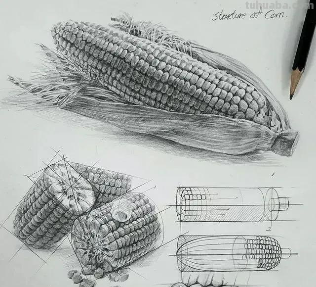 最近很受欢迎的画！韩国画家的结构素描作品高清精选