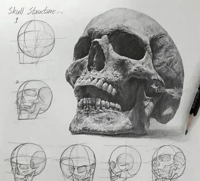 最近很受欢迎的画！韩国画家的结构素描作品高清精选