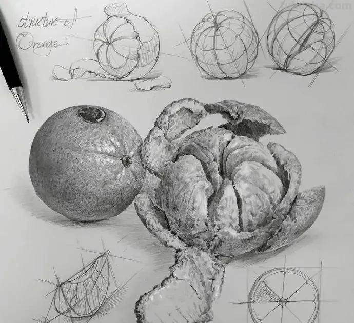 最近很受欢迎的画！韩国画家的结构素描作品高清精选