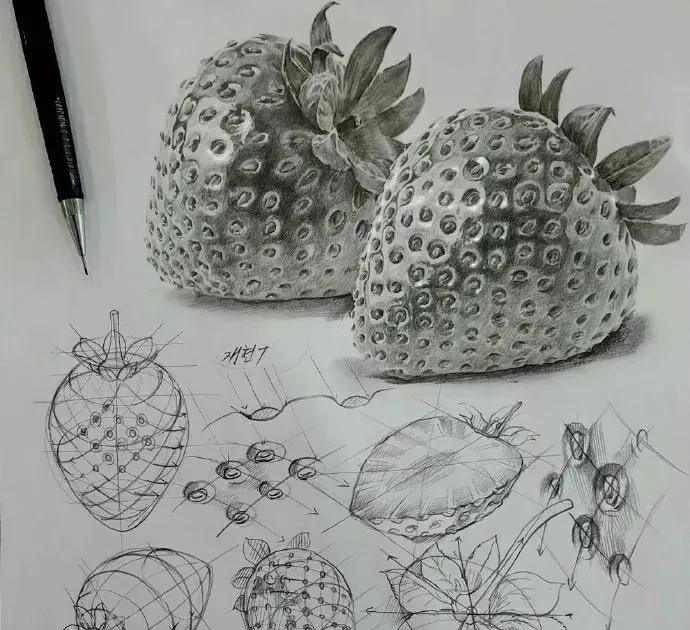 最近很受欢迎的画！韩国画家的结构素描作品高清精选