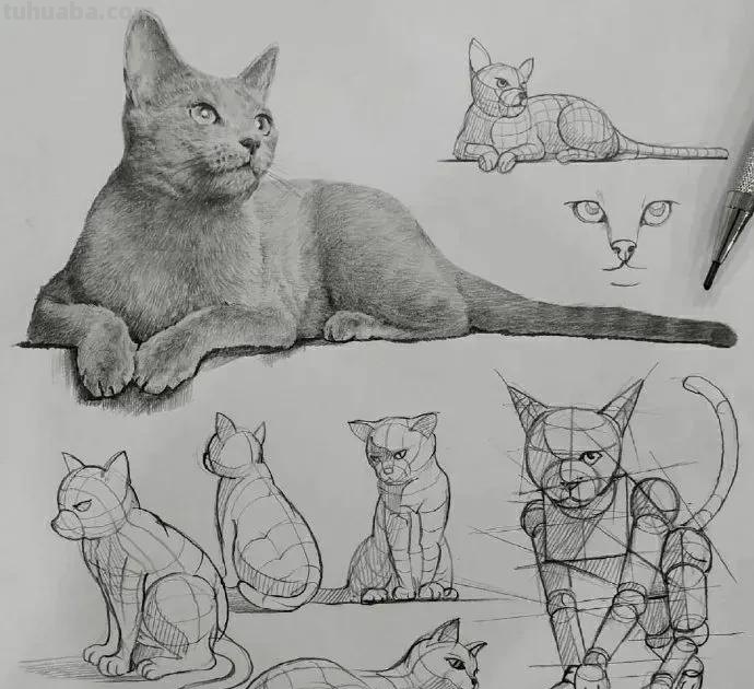 最近很受欢迎的画！韩国画家的结构素描作品高清精选
