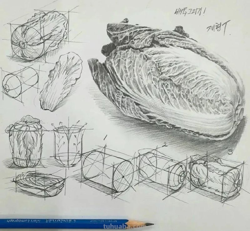 最近很受欢迎的画！韩国画家的结构素描作品高清精选