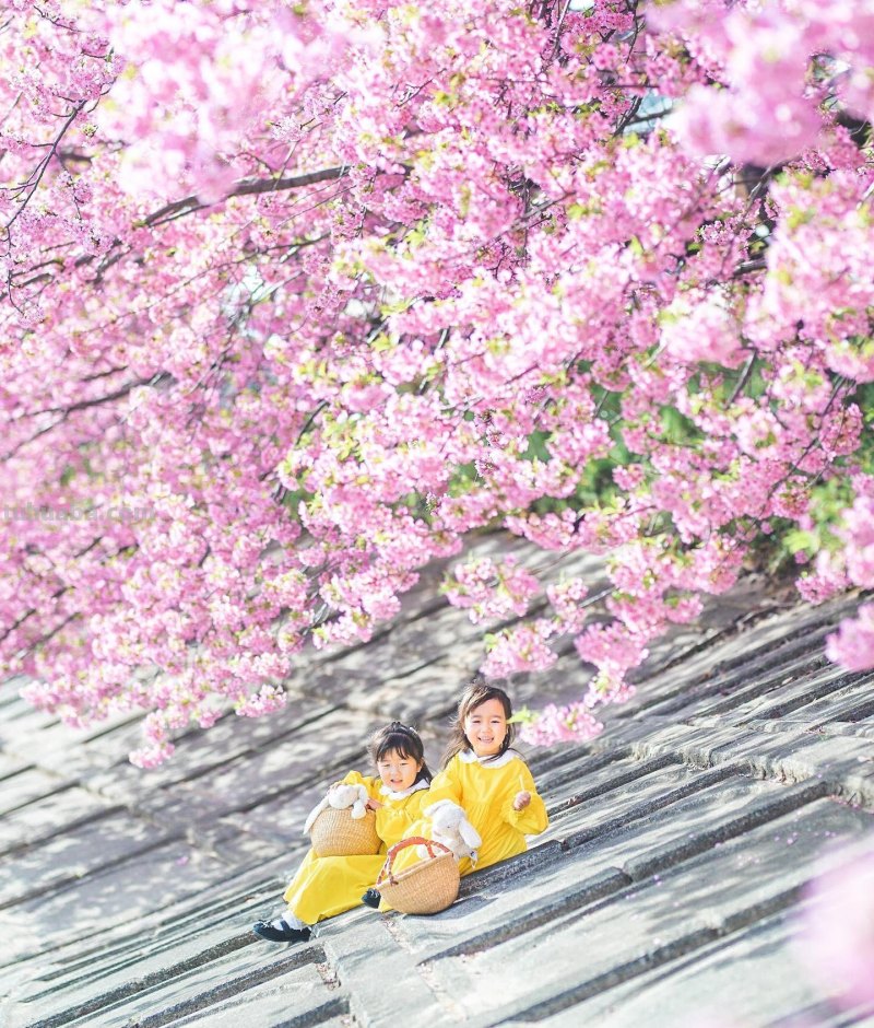 儿童节要到了，用手机给小朋友拍照片吧，学这5个摄影技巧