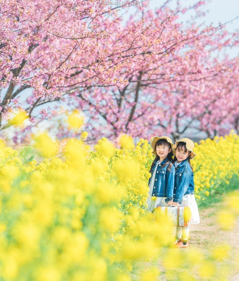 儿童节要到了，用手机给小朋友拍照片吧，学这5个摄影技巧