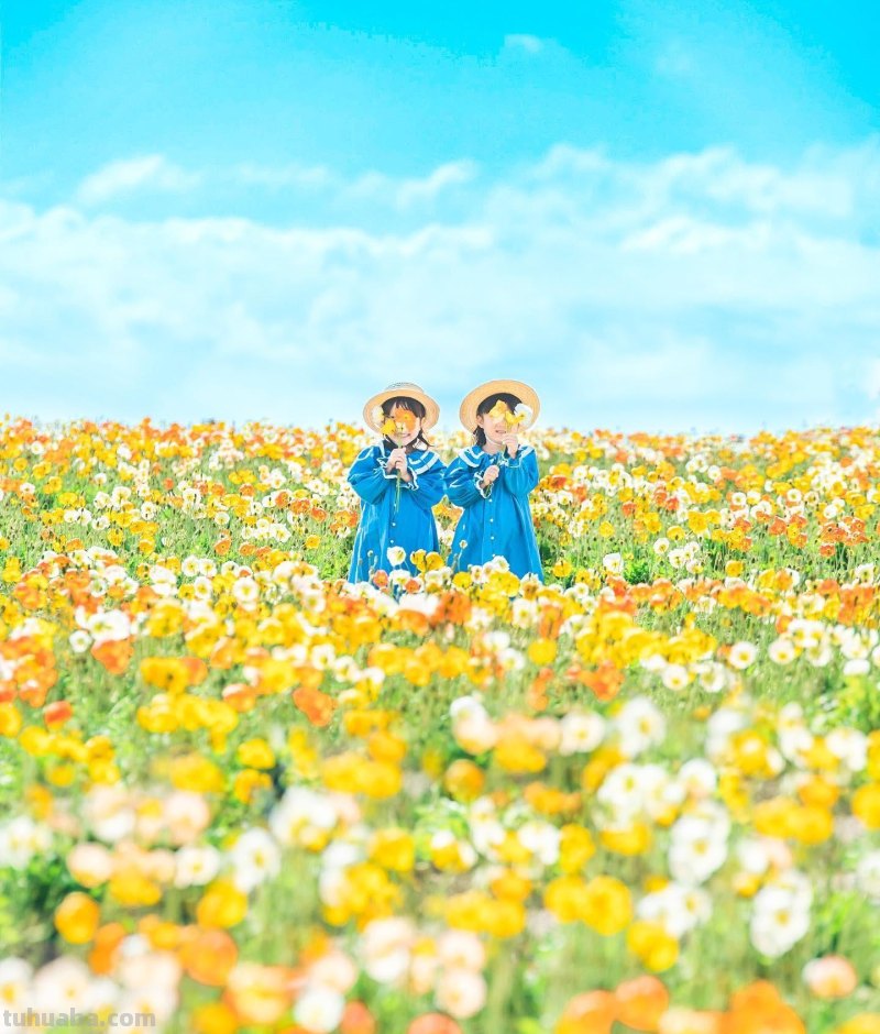 儿童节要到了，用手机给小朋友拍照片吧，学这5个摄影技巧