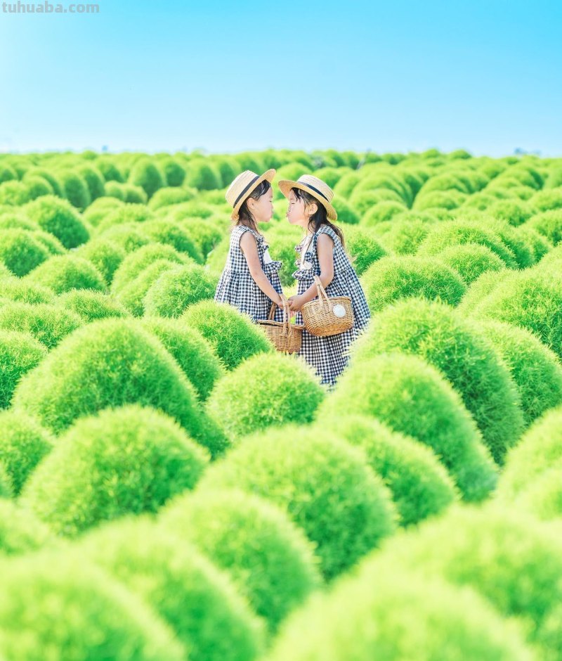 儿童节要到了，用手机给小朋友拍照片吧，学这5个摄影技巧
