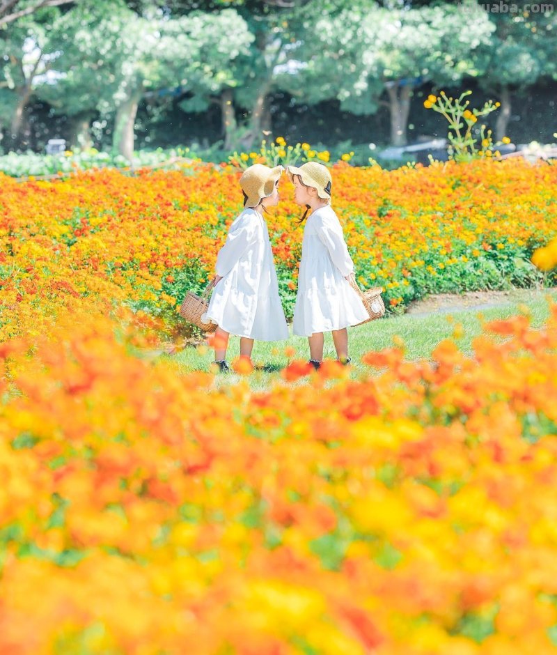 儿童节要到了，用手机给小朋友拍照片吧，学这5个摄影技巧