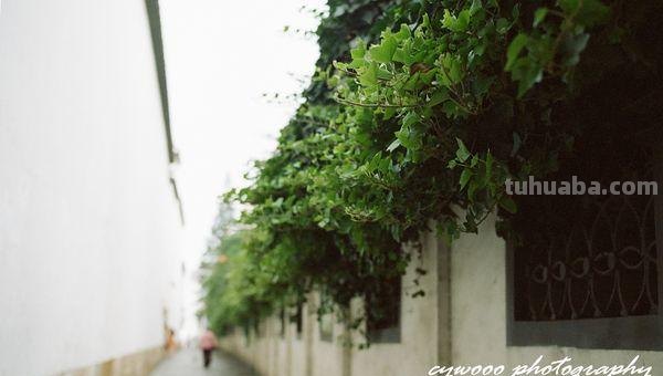 摄影不归路：那些年我玩过的器材以及镜头