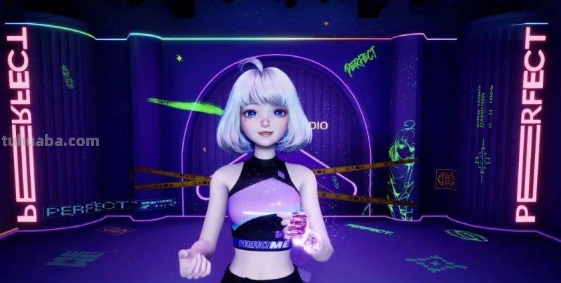 虚拟偶像2022：我们与完美的距离