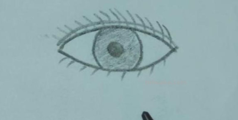 卡通眼睛怎么画简笔画(卡通眼睛怎么画简笔画 可爱) 卡通眼睛怎么画简笔画(卡通眼睛怎么画简笔画 可爱)