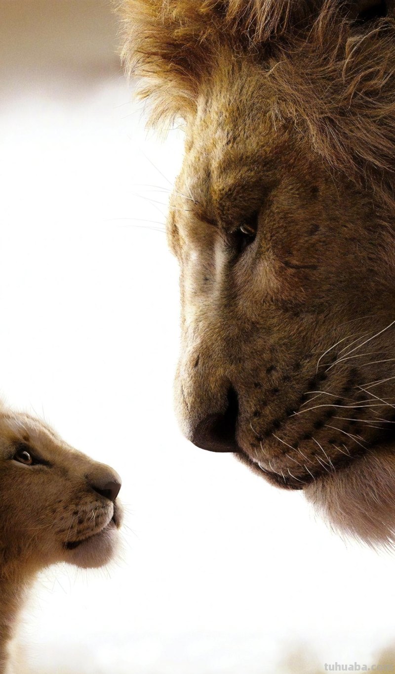 37张优秀动漫电影高清无水印壁纸，超萌、超可爱！