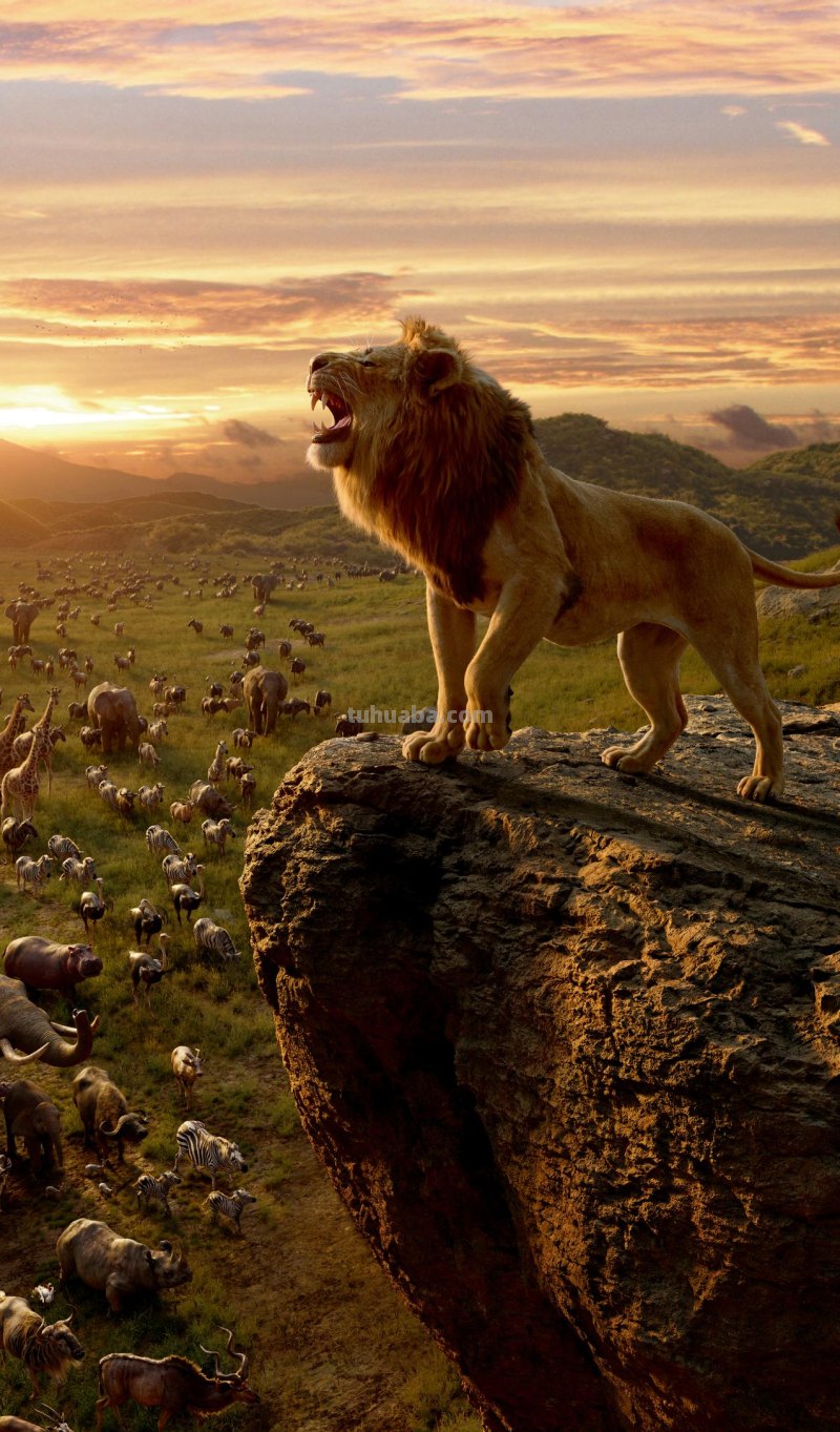 37张优秀动漫电影高清无水印壁纸，超萌、超可爱！