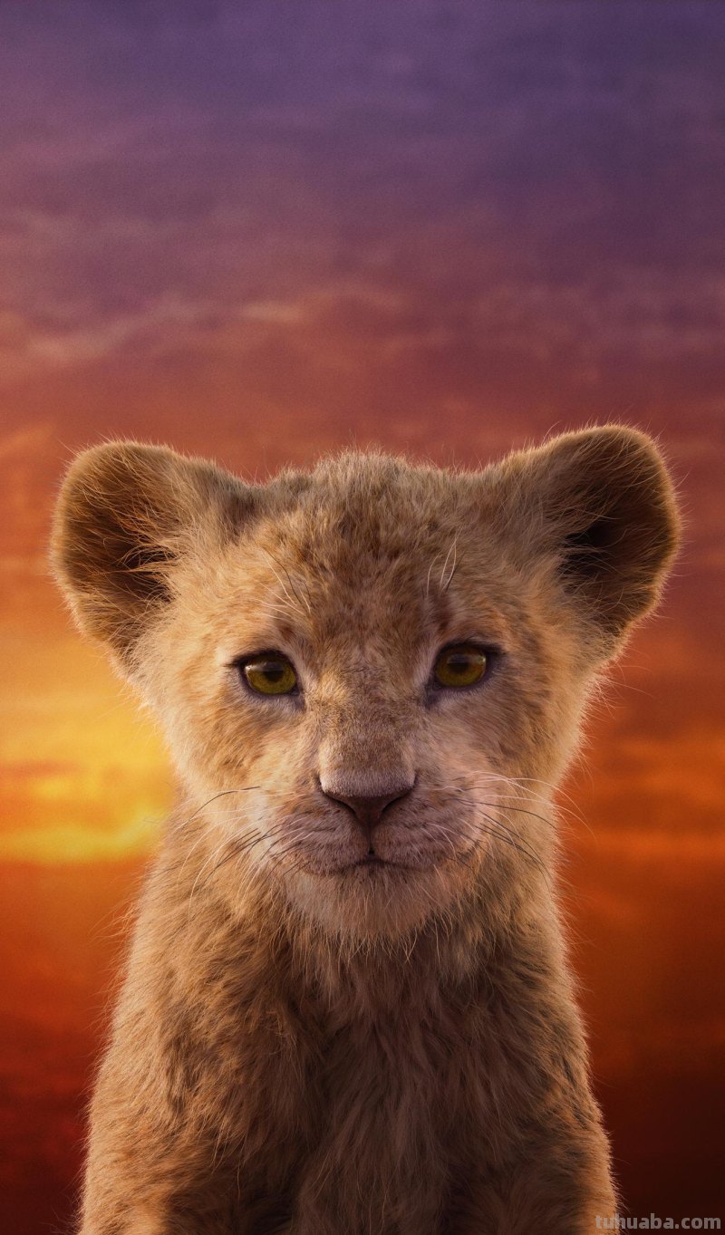 37张优秀动漫电影高清无水印壁纸，超萌、超可爱！