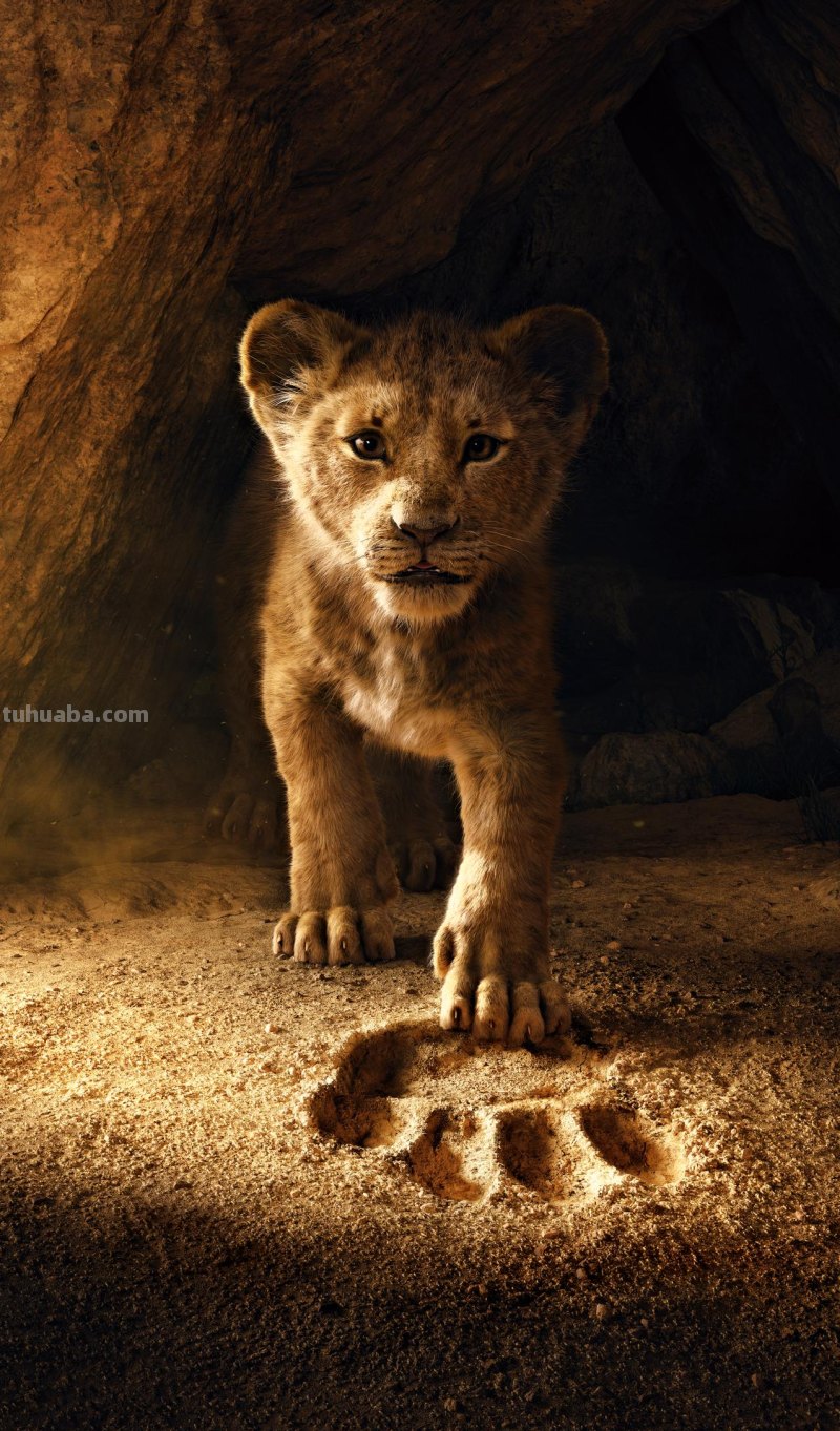 37张优秀动漫电影高清无水印壁纸，超萌、超可爱！