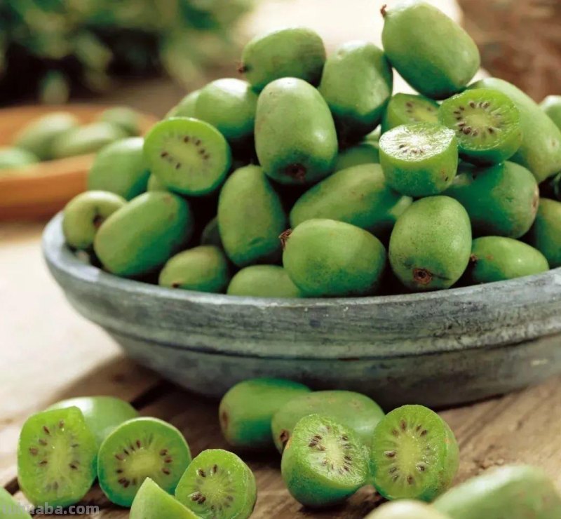 6种果树，最适合在家里养，一次结果20斤