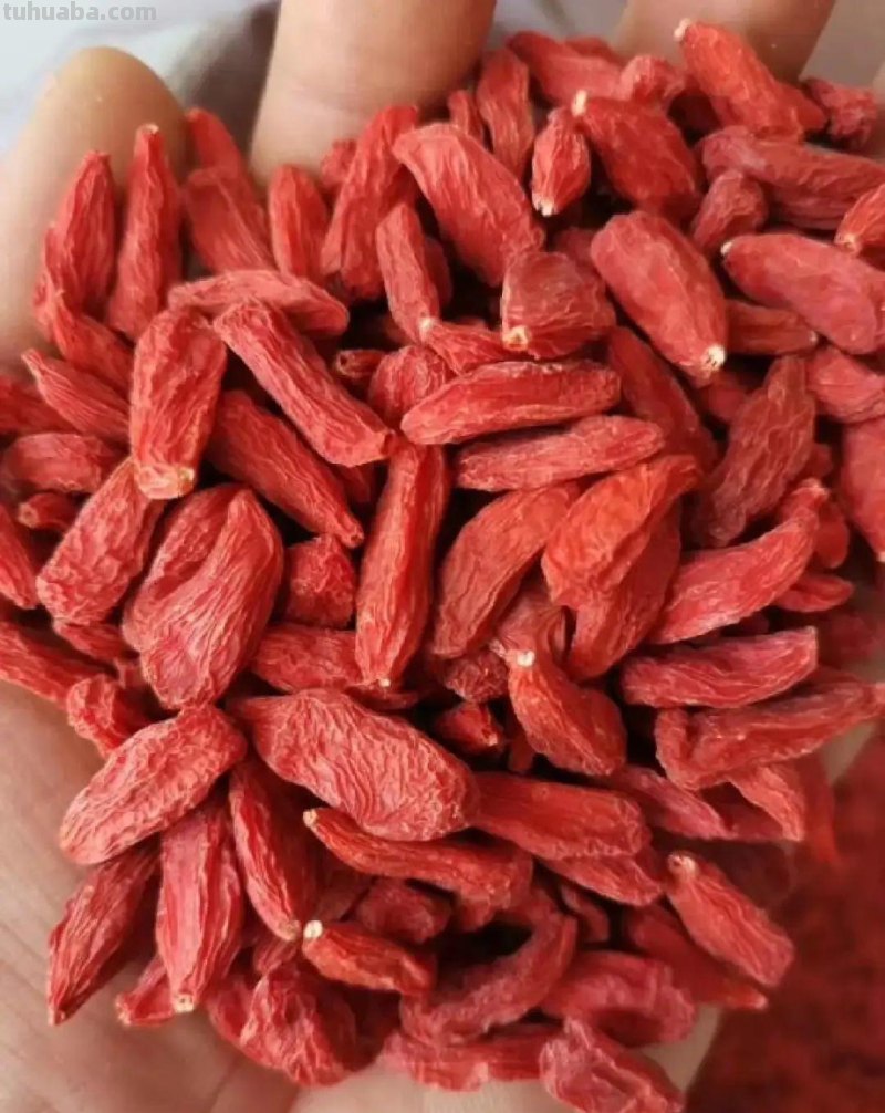 6种果树，最适合在家里养，一次结果20斤