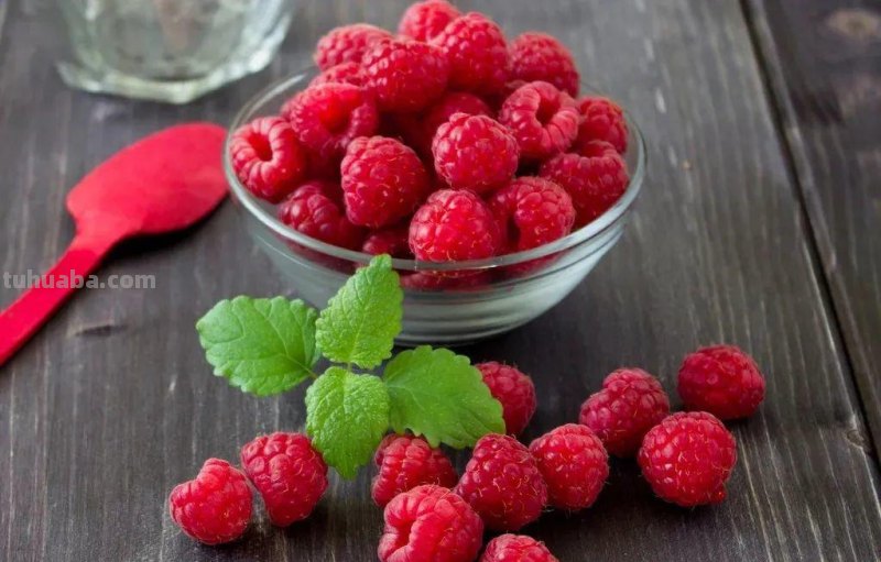 6种果树，最适合在家里养，一次结果20斤