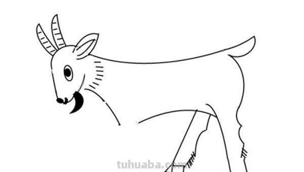山羊怎么画简笔画步骤（山羊怎么画简笔画步骤）