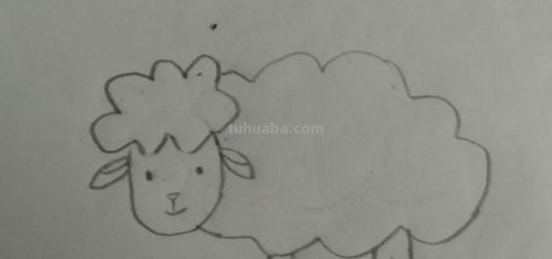 山羊怎么画简笔画步骤（山羊怎么画简笔画步骤）