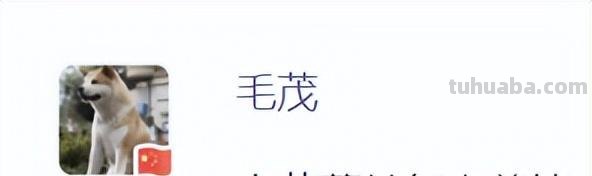 我就想问问，发财树到底怎么养？