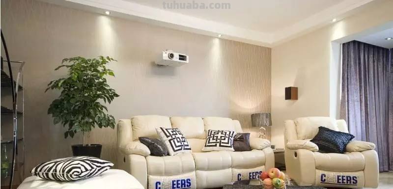 发财树养护大集锦，学会再也养不死了！