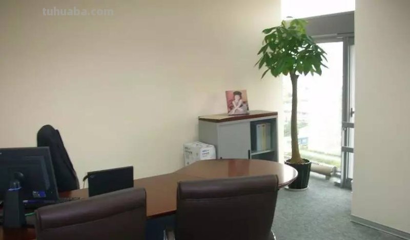 发财树养护大集锦，学会再也养不死了！