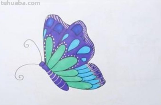 怎么画蝴蝶简笔画步骤(怎么画蝴蝶简笔画步骤成人) 怎么画蝴蝶简笔画步骤(怎么画蝴蝶简笔画步骤成人)