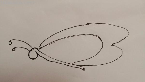 怎么画蝴蝶简笔画步骤(怎么画蝴蝶简笔画步骤成人) 怎么画蝴蝶简笔画步骤(怎么画蝴蝶简笔画步骤成人)