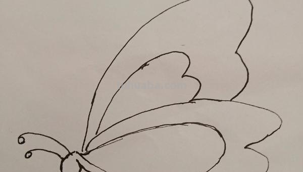 怎么画蝴蝶简笔画步骤(怎么画蝴蝶简笔画步骤成人) 怎么画蝴蝶简笔画步骤(怎么画蝴蝶简笔画步骤成人)