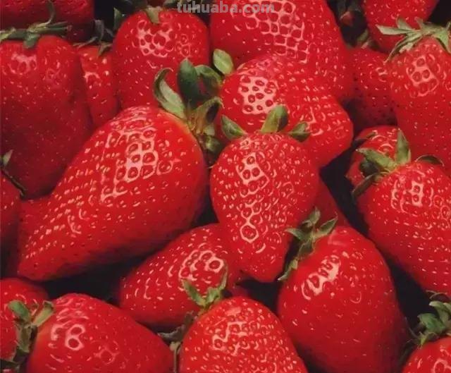 16种水果简笔画大全，超级实用的素材！（建议收藏）
