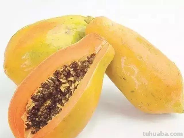 16种水果简笔画大全，超级实用的素材！（建议收藏）