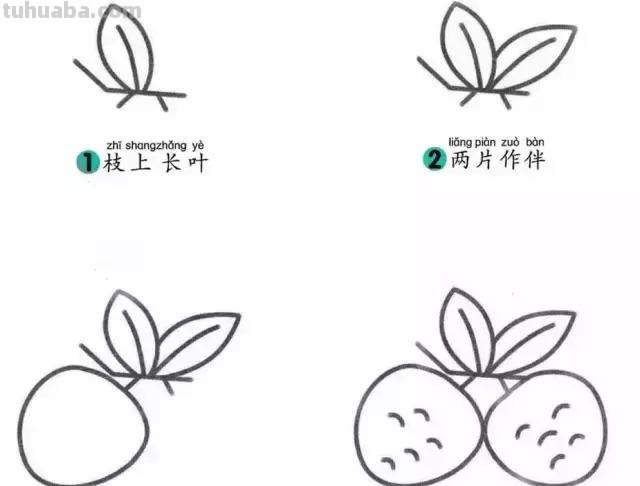 16种水果简笔画大全，超级实用的素材！（建议收藏）