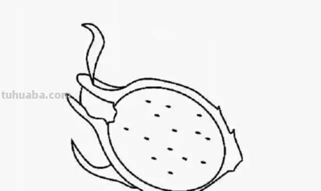 16种水果简笔画大全，超级实用的素材！（建议收藏）