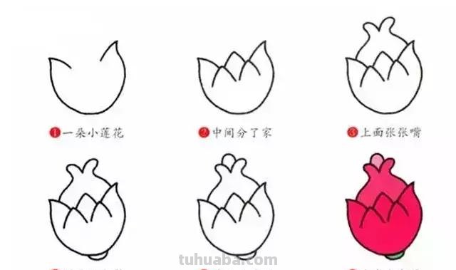 16种水果简笔画大全，超级实用的素材！（建议收藏）