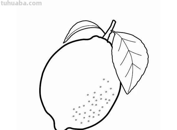 每天学一幅简笔画-一大波水果简笔画图片大全存起来教孩子