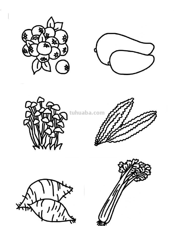 水果蔬菜瓜果手绘手账简笔画素材