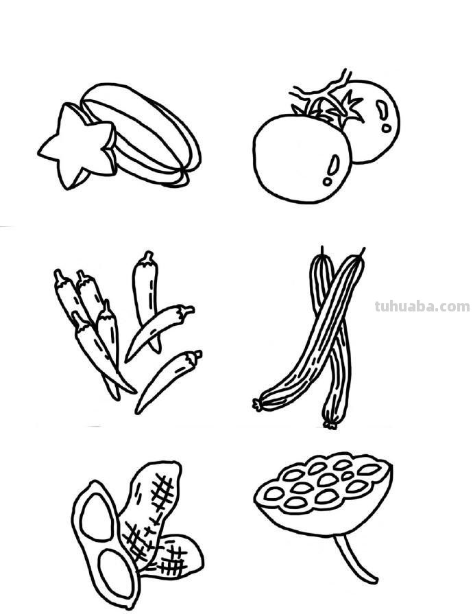 水果蔬菜瓜果手绘手账简笔画素材