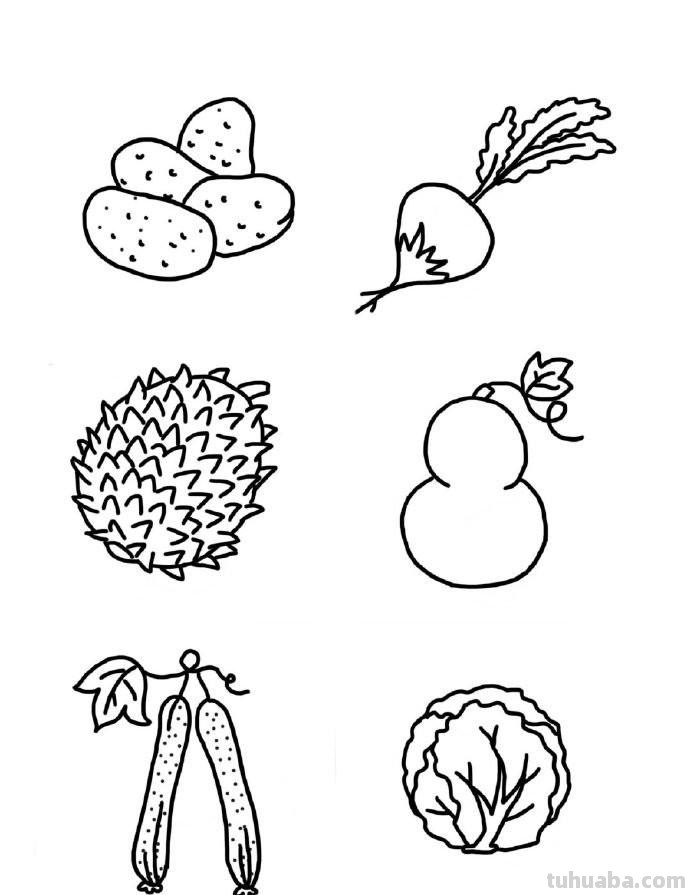 水果蔬菜瓜果手绘手账简笔画素材