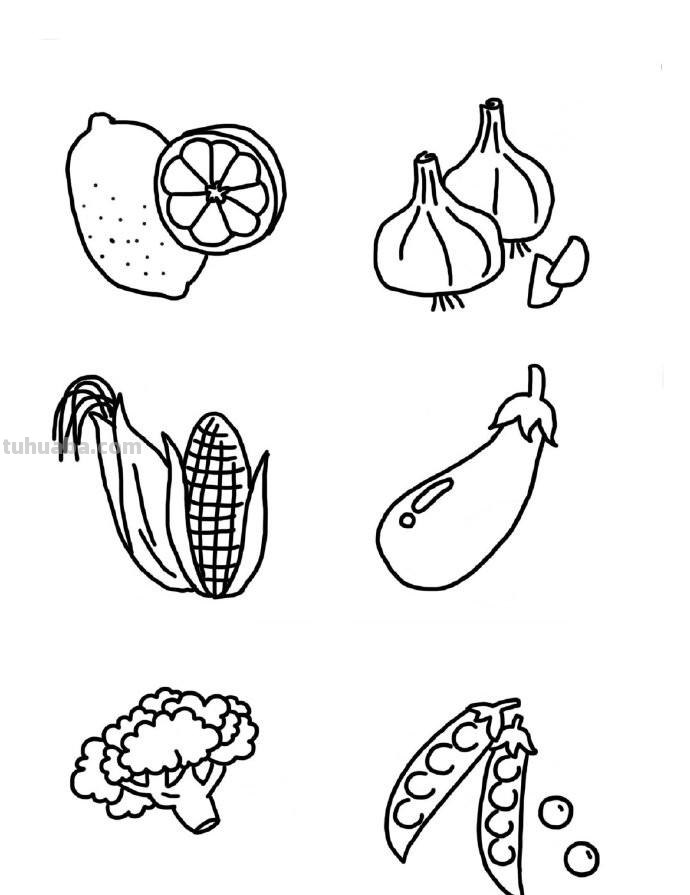 水果蔬菜瓜果手绘手账简笔画素材