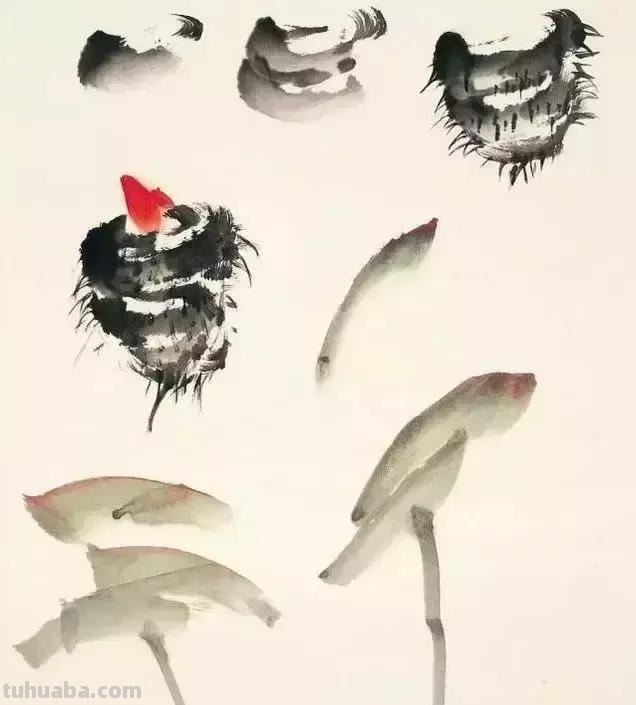 图文教程：写意蔬果篇，棒棒哒！