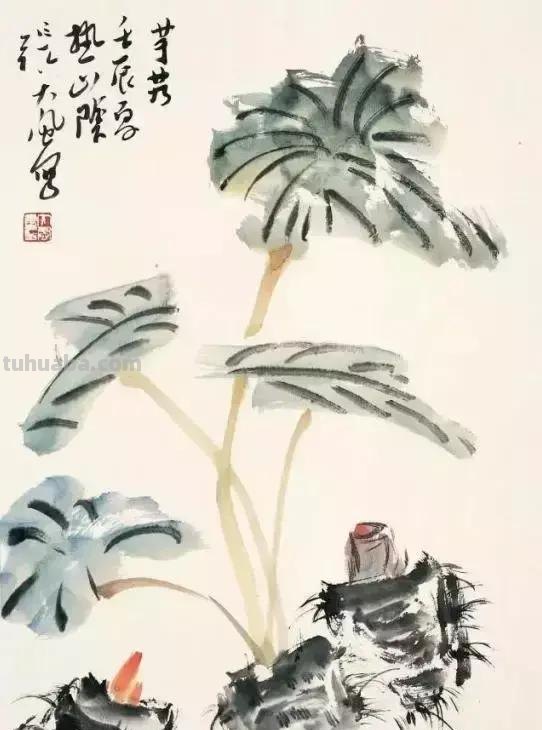 图文教程：写意蔬果篇，棒棒哒！