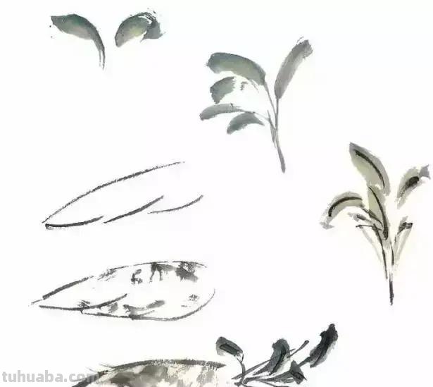 图文教程：写意蔬果篇，棒棒哒！