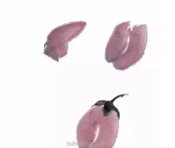 图文教程：写意蔬果篇，棒棒哒！
