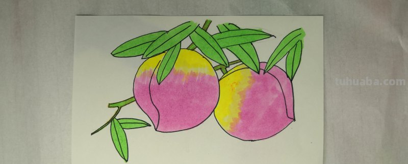 分享几种蔬菜水果的简笔画素材，简单好画易上手，喜欢快收藏