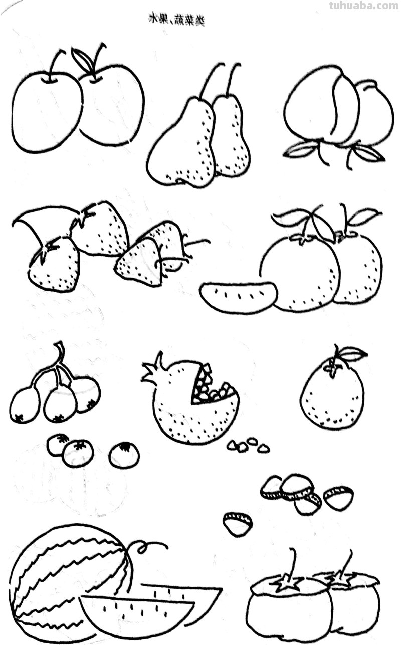 各种水果 蔬菜 简笔画线描稿素材 简单实用